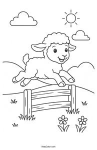 Sheep