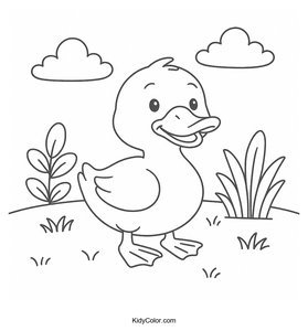 Ducks