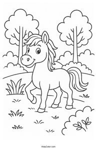 Horses