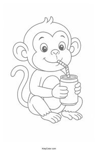 Jungle Animals
