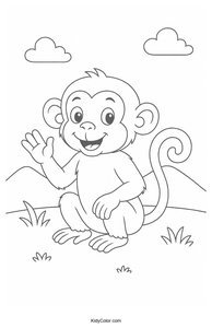 Jungle Animals