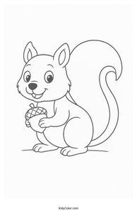 Squirrels