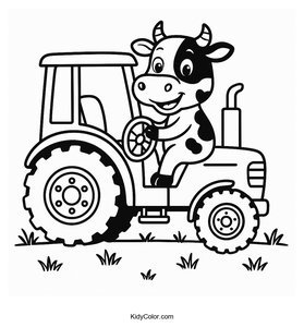 Cows