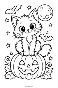 Cute Cat on Halloween Pumpkin
