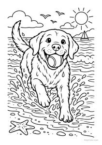 Dog Playing at the Beach