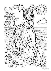 Dog Running on the Beach