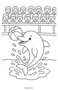 Dolphins