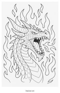 Dragons