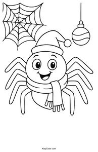 Spiders & Webs