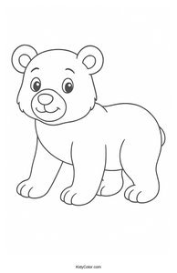 Bears