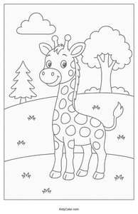 Safari Animals