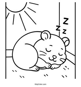 Hamster Curled Up In A Little Ball Sleeping Peacefully In A
