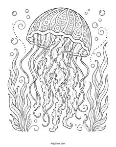 Intricate Jellyfish among Ocean Plants