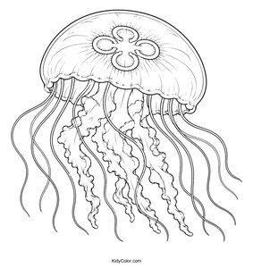 Intricate Jellyfish with Flowing Tentacles
