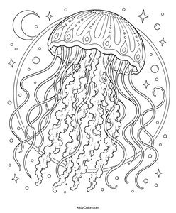 Jellyfish Floating in the Ocean