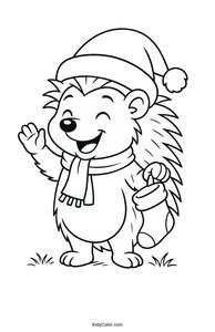 Hedgehogs