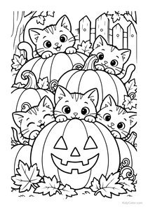 Kittens Playing Among Pumpkins