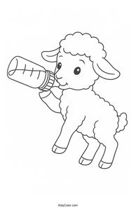 Sheep