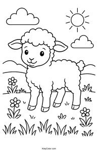 Sheep