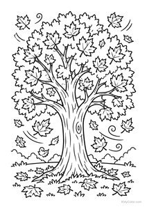 Majestic Autumn Maple Tree