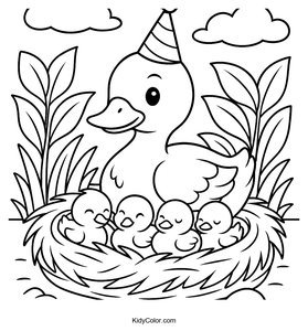 Ducks