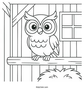 Owls