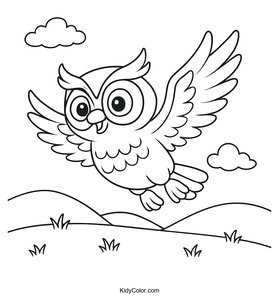 Owls