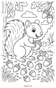 Squirrels