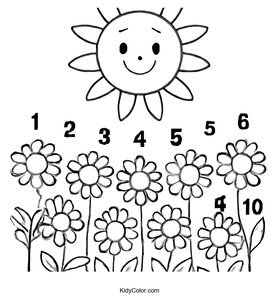 Sun Shining over Daisies with Numbers